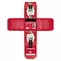 Infusion d'hiver BIO 2023/2024