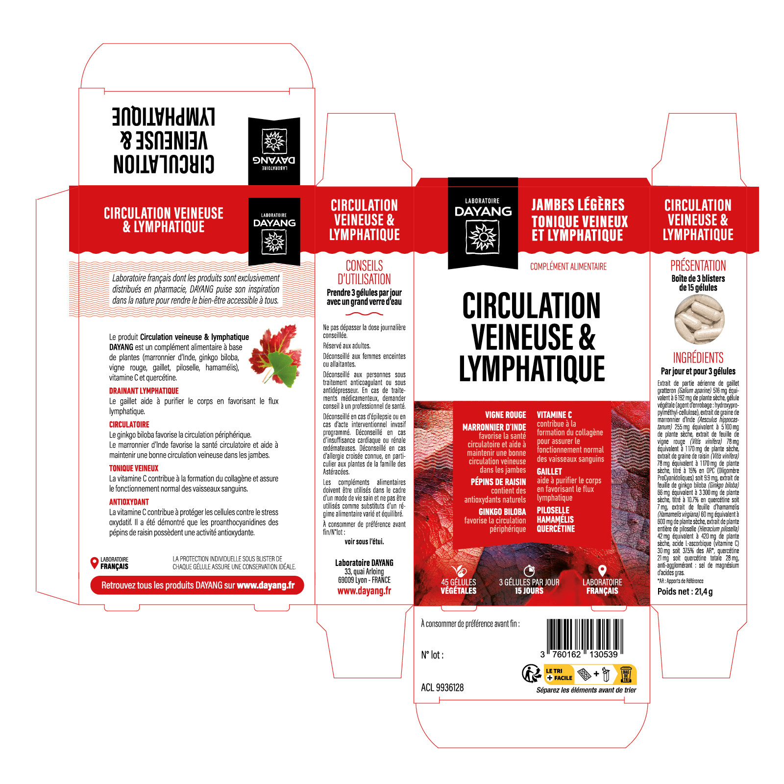 Circulation veineuse et lymphatique