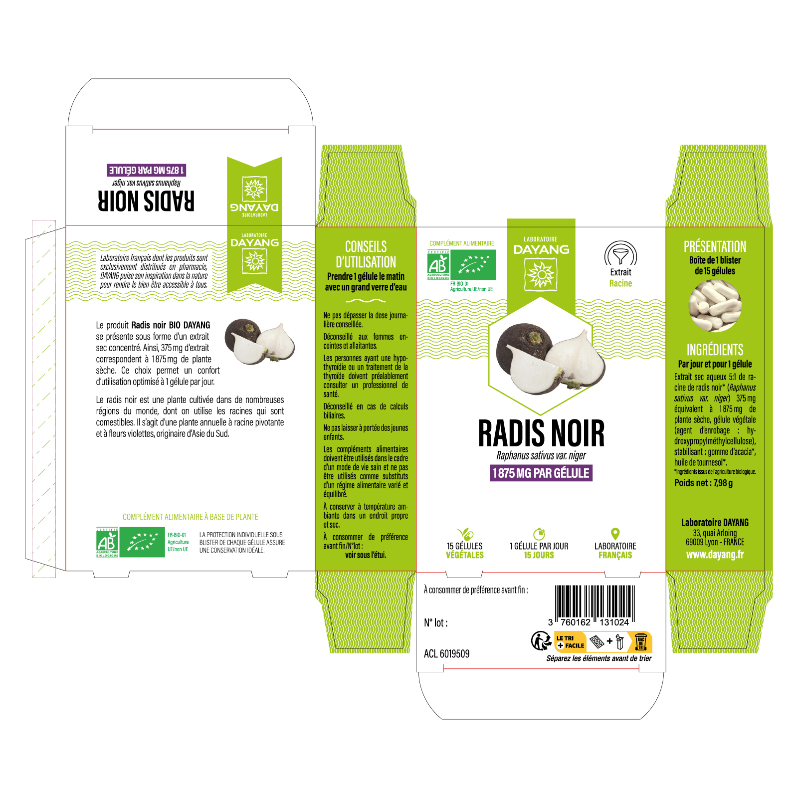 Radis noir BIO