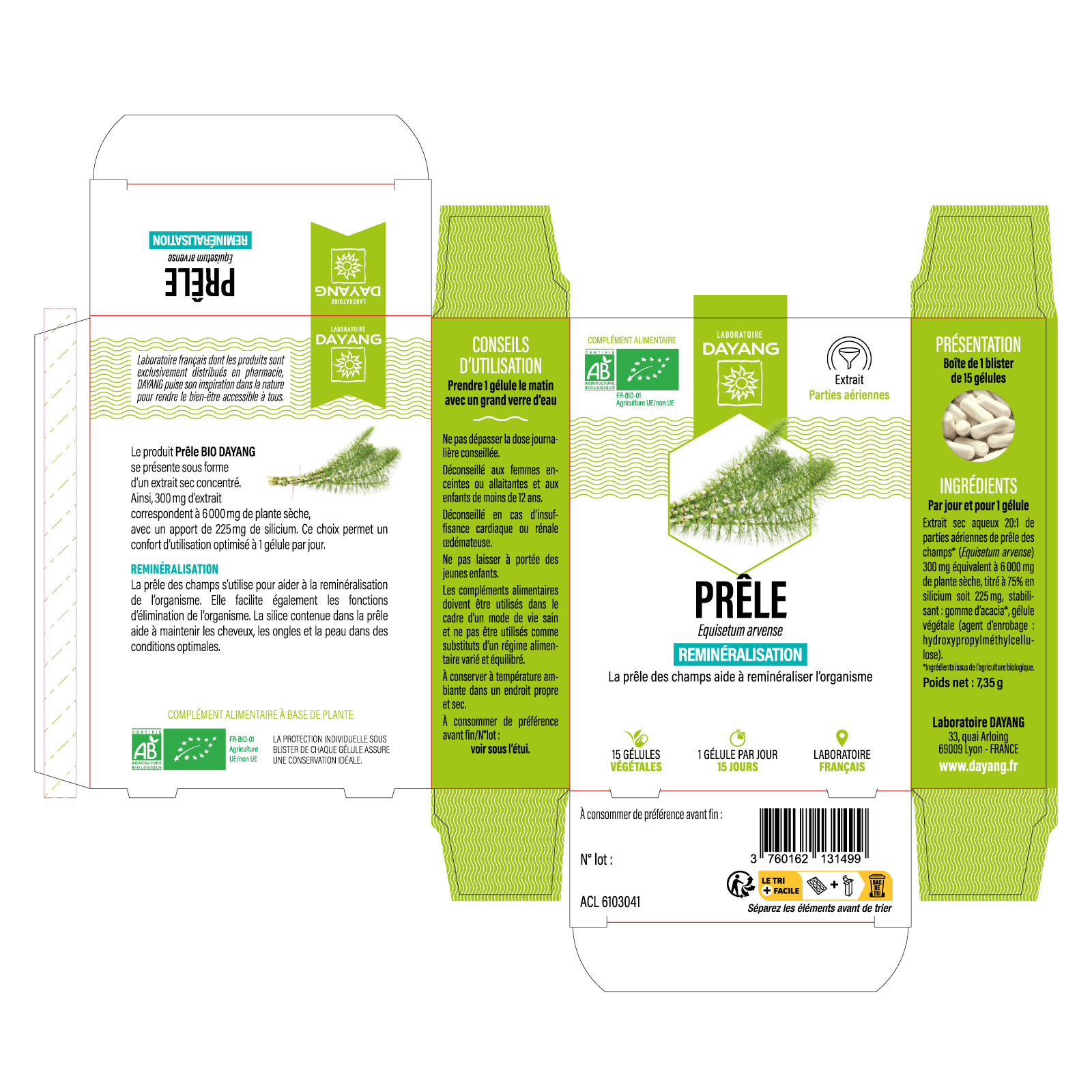 Prêle BIO