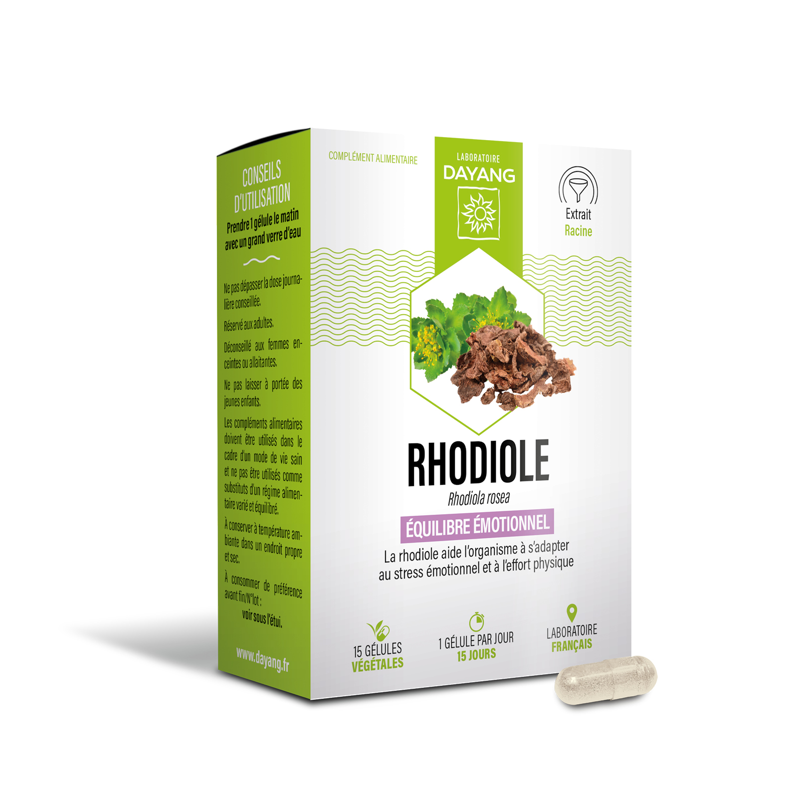 Rhodiole