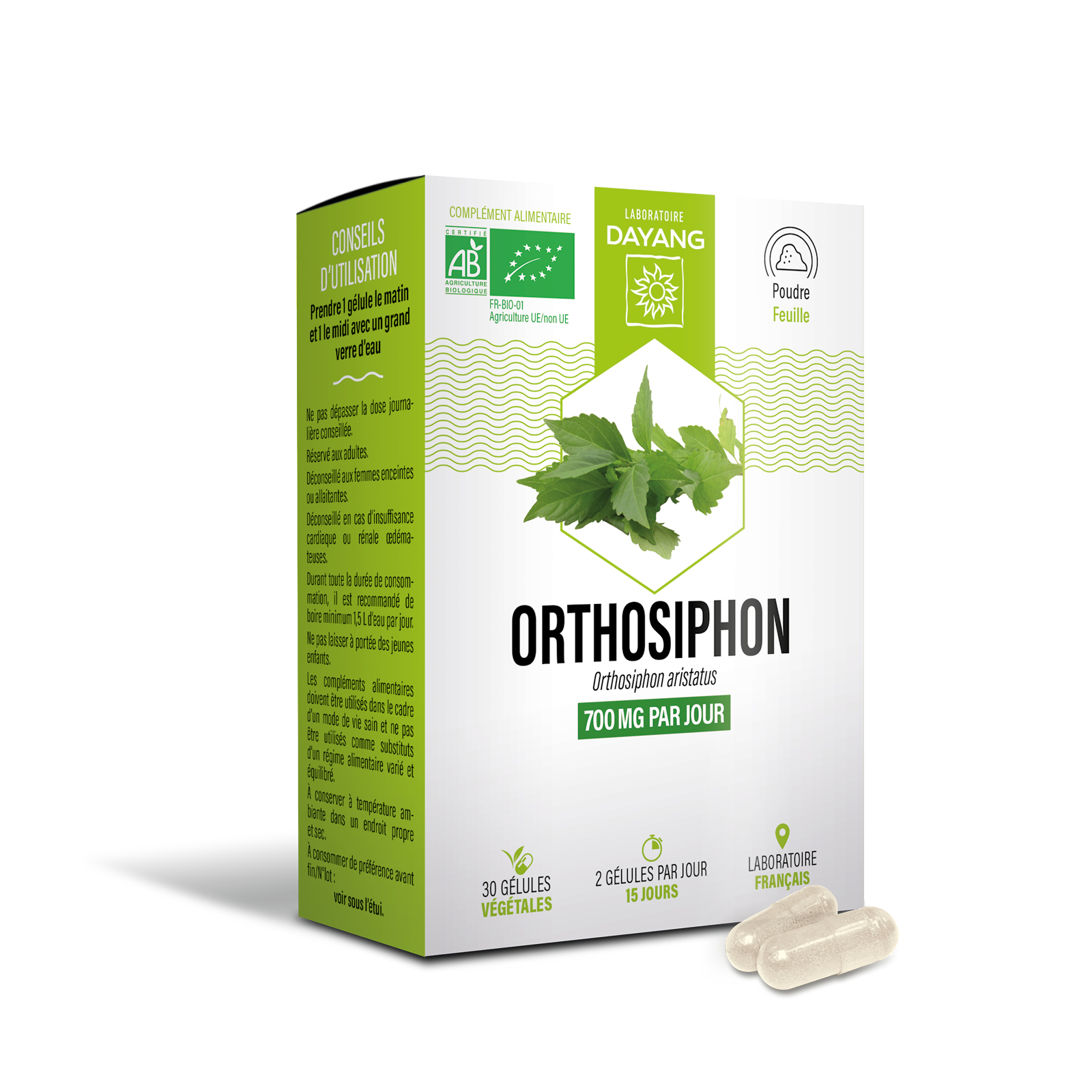Orthosiphon BIO