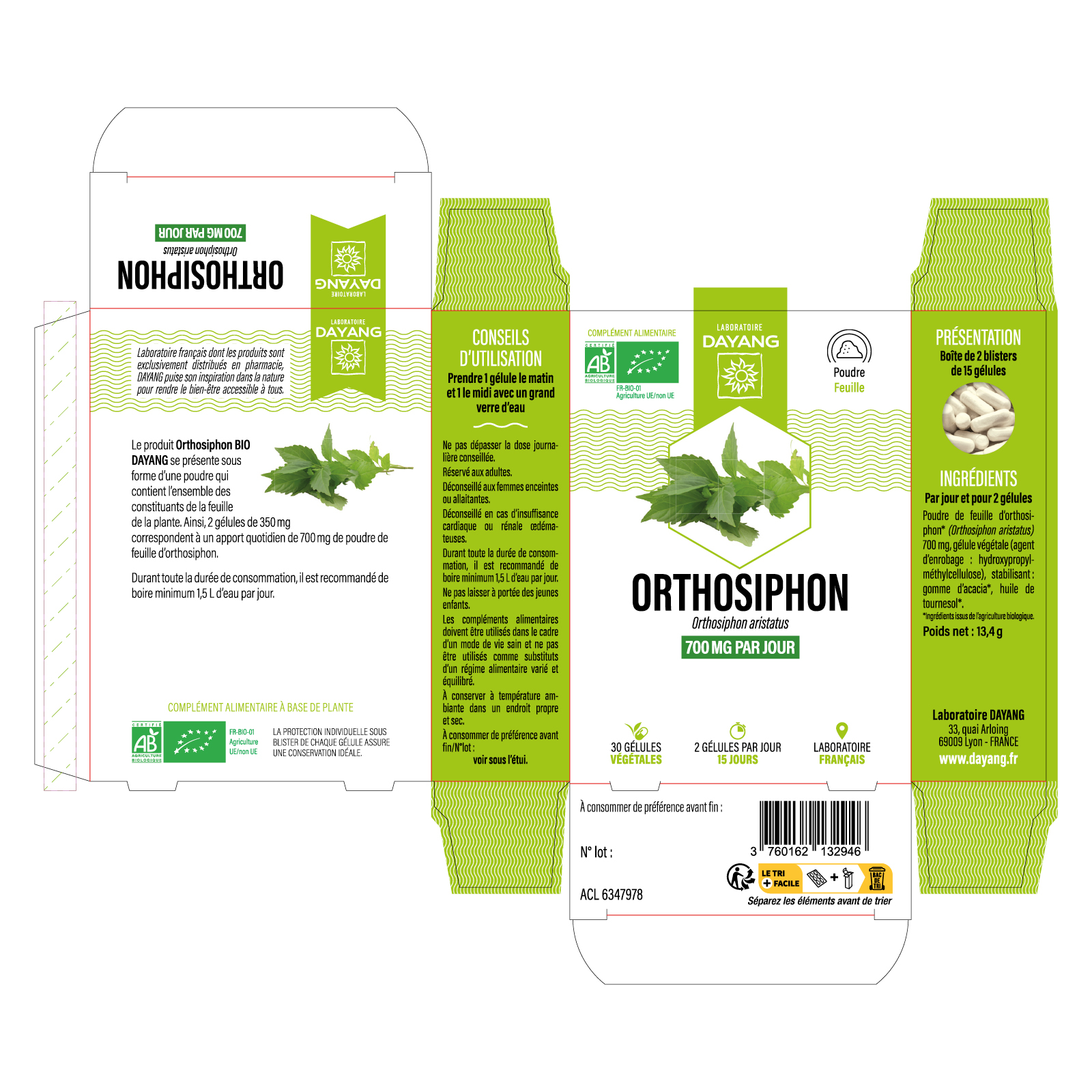 Orthosiphon BIO