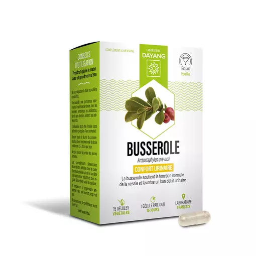 Busserole